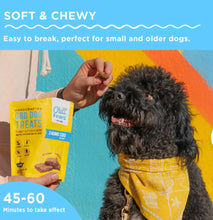 Load image into Gallery viewer, Handcrafted CBD Dog Treats
