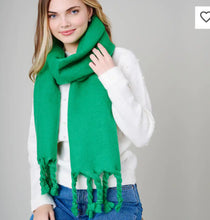 Load image into Gallery viewer, Lola Tassel Scarf
