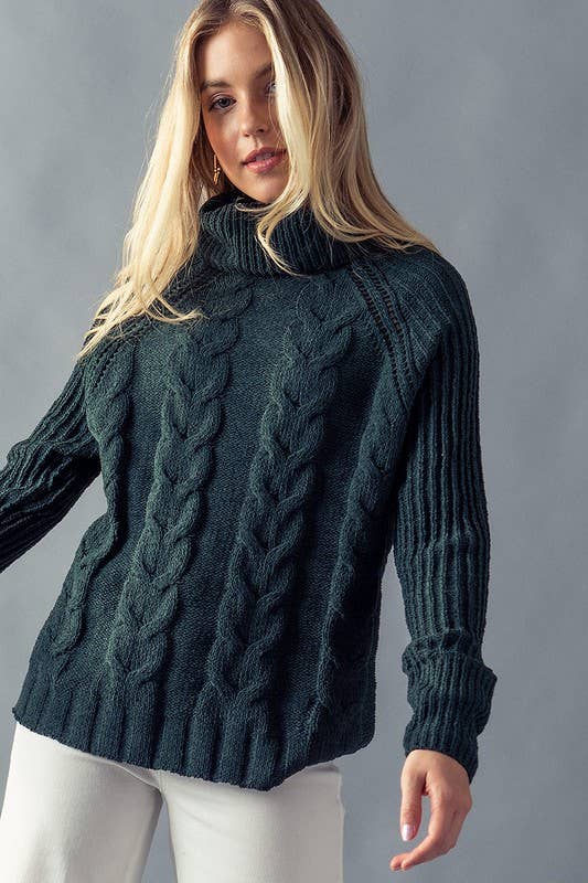 Blair Turtle Neck Cable Knit Sweater